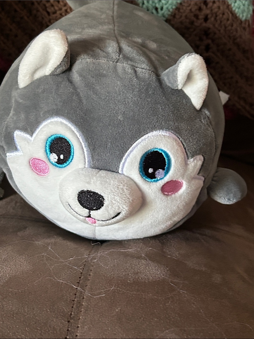 Gray Husky Plush Pillow with Blue Eyes